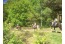Camping & Bungalowpark Ommerland met eigen manege met paardenstalling VMP088